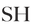 logo of SH Jewellery | Engagement Rings & Wedding Rings
